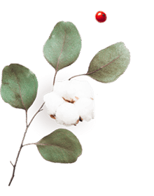 floating_image_06 https://nikcadavca.cz/wp-content/uploads/2020/10/floating_image_06.png