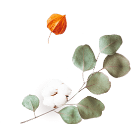 floating_image_flower_02 https://nikcadavca.cz/wp-content/uploads/2020/12/floating_image_flower_02.png