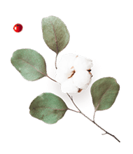 floating_image_flower_03 https://nikcadavca.cz/wp-content/uploads/2020/12/floating_image_flower_03.png