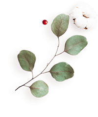 floating_image_flower_04 https://nikcadavca.cz/wp-content/uploads/2020/12/floating_image_flower_04.png